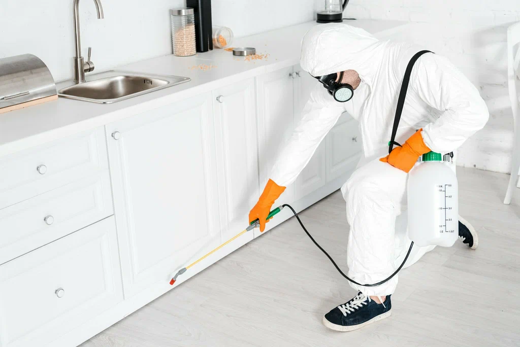 Benefits of Professional Pest Inspection