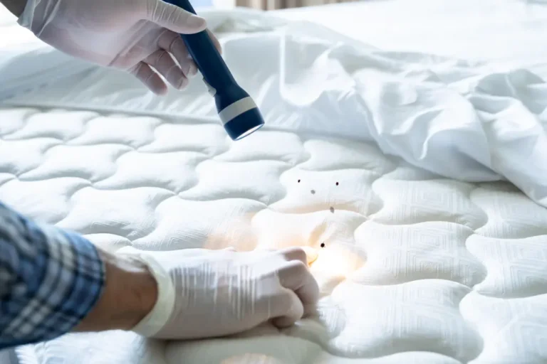 Home Bed Bug Treatment
