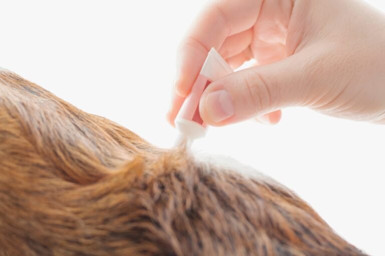 Home Flea Treatment