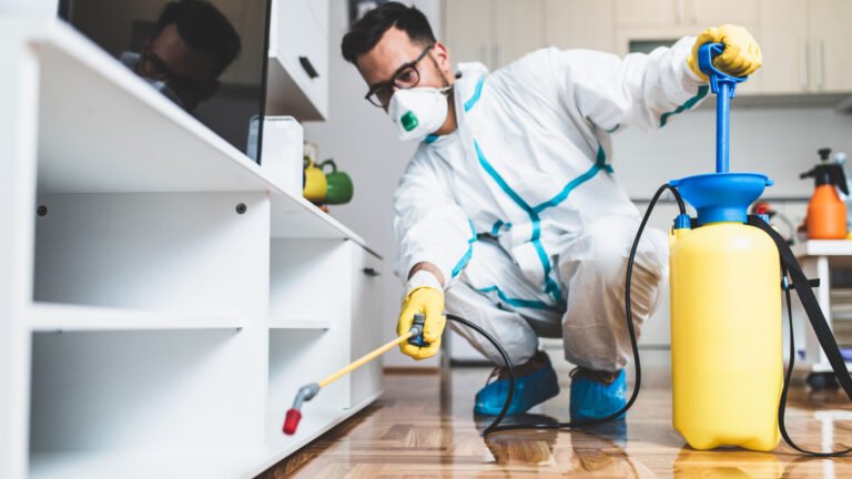 Home Pest Control in Hollywood FL