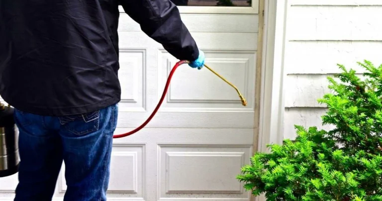 Indoor and Outdoor Pest Inspection