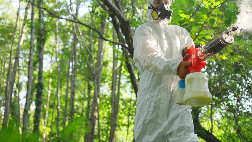 Mosquito Extermination