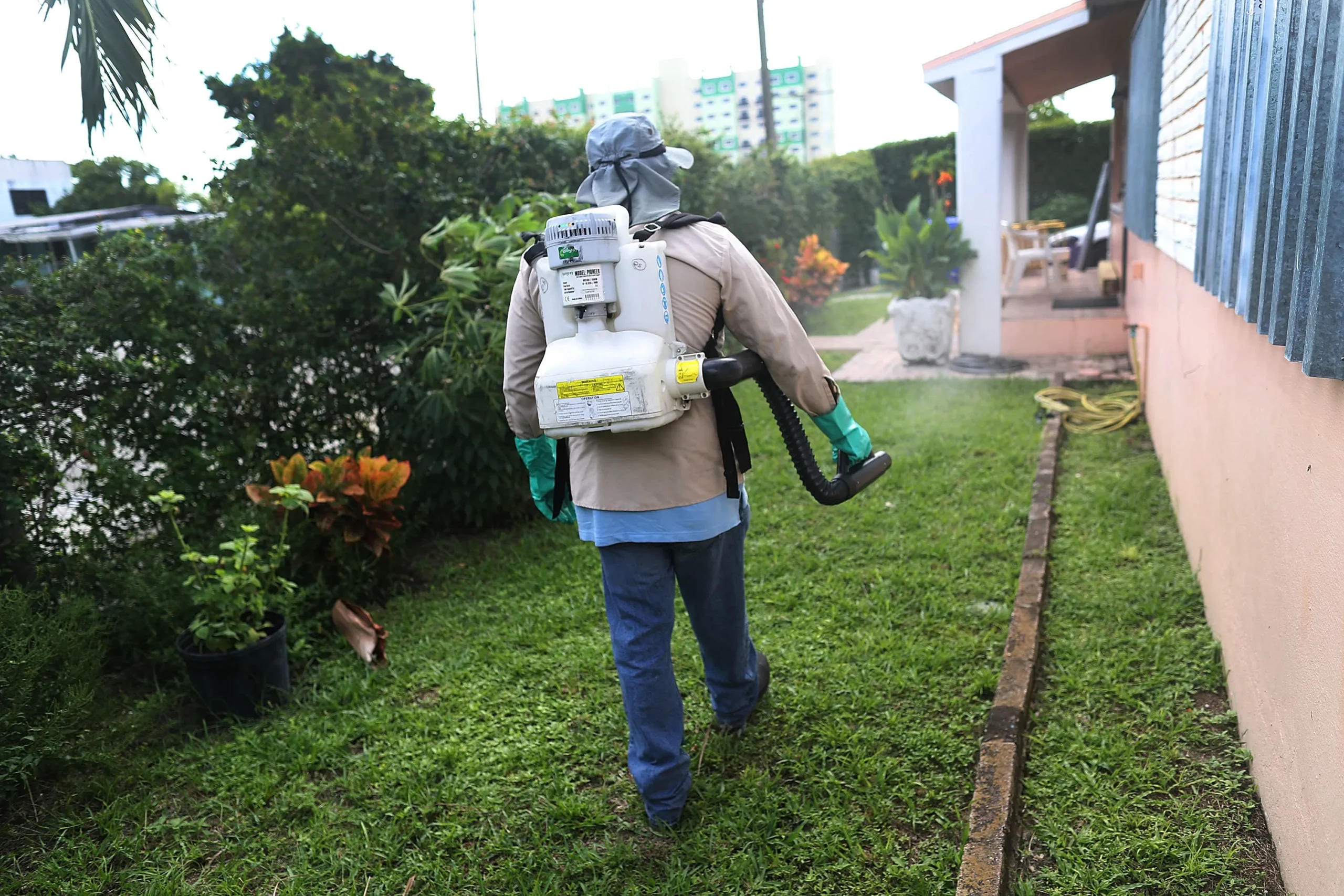 Mosquito Control