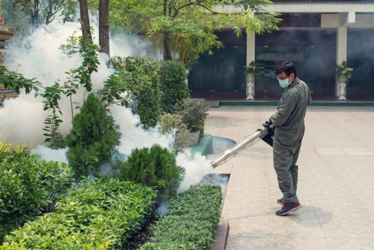 Mosquito Prevention Services