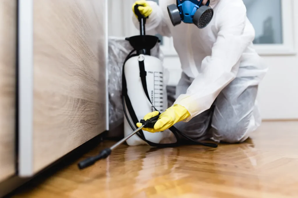 Why Choose Integrity Pest Control Services