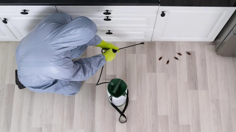 Pest Extermination