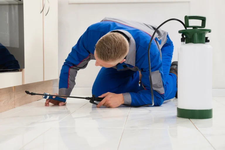 Pest Removal Services