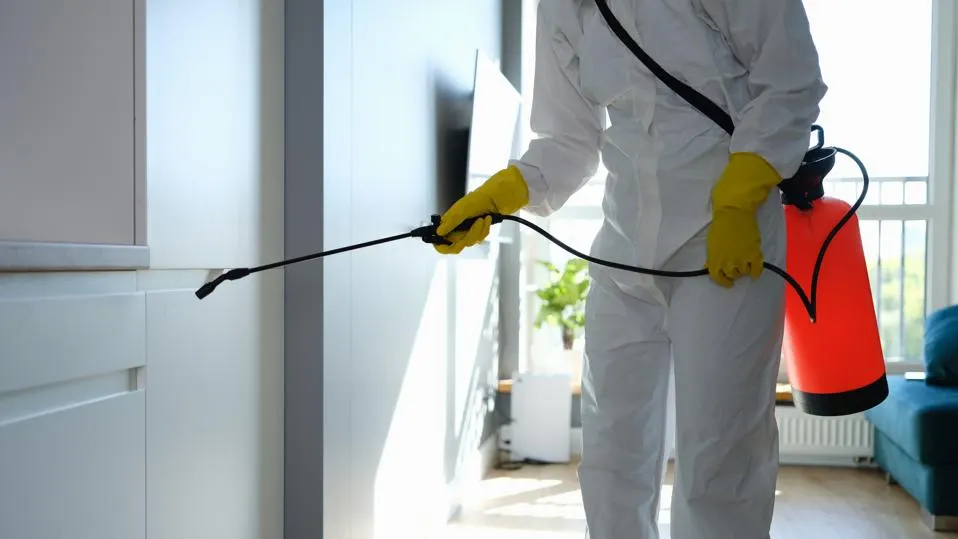 Professional Pest Extermination