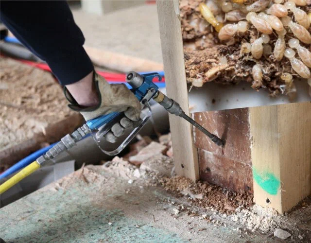 Residential Termite Control