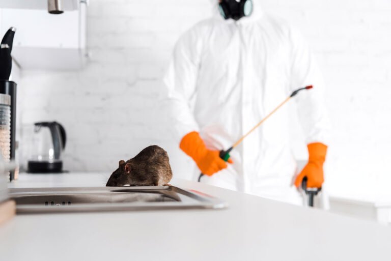 Rodent Extermination