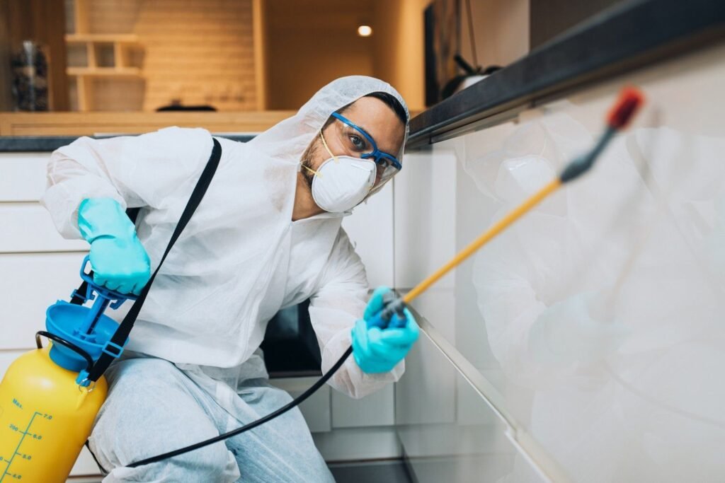Why Choose Integrity Pest Control Services for