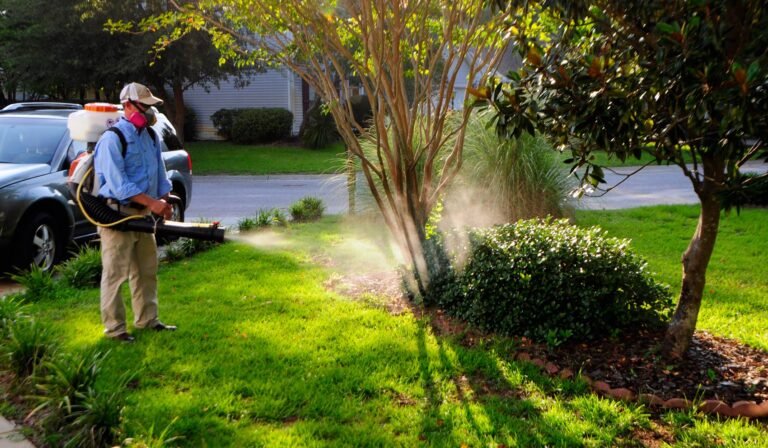 Yard Mosquito Control