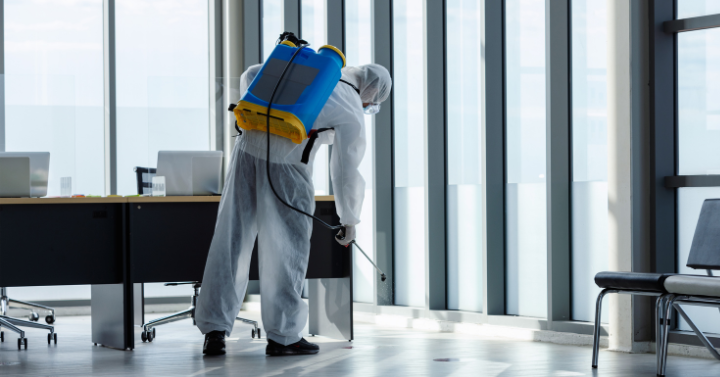 Why Choose Integrity Pest Control Services
