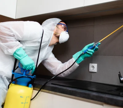 Benefits of Professional Ant Extermination